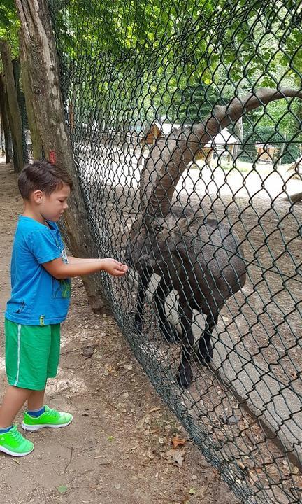 Uhu Pavillon - Wildpark